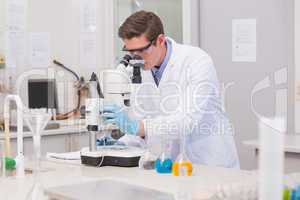 Scientist looking through a microscope