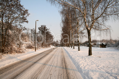 Winter Landscape