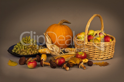 Autumn Still Life