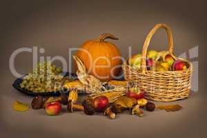 Autumn Still Life