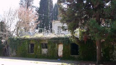 Abandoned Building in Garden
