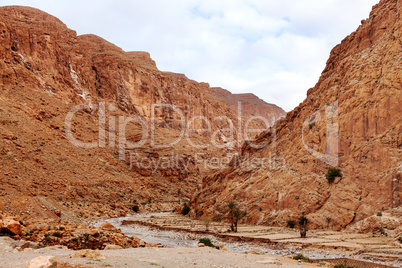 Todra Gorge in Morocco