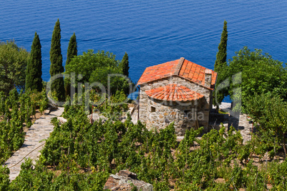 Weingut in der Toskana, Insel Elba