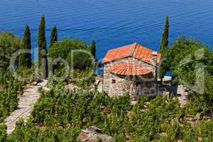 Weingut in der Toskana, Insel Elba