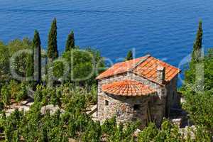 Weingut in der Toskana, Insel Elba