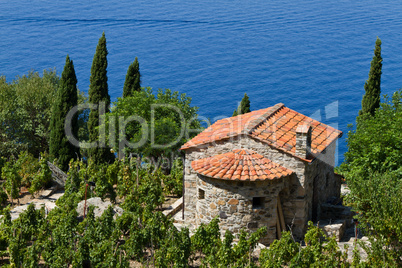 Weingut in der Toskana, Insel Elba