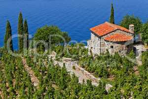 Weingut in der Toskana, Insel Elba