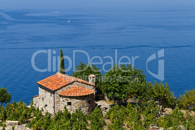 Weingut in der Toskana, Insel Elba