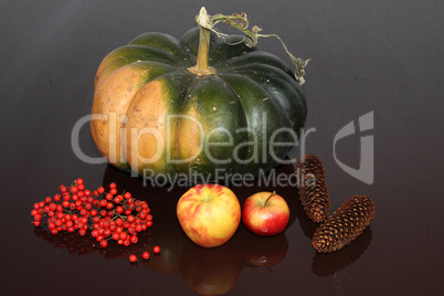 Autumn still life