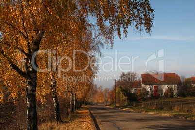 Autumn in the city