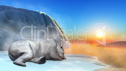 Polar bear - 3D render