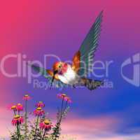 Rufous hummingbird - 3D render
