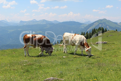 Schafberg, Austrian Alps