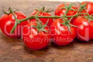 fresh cherry tomatoes on a cluster