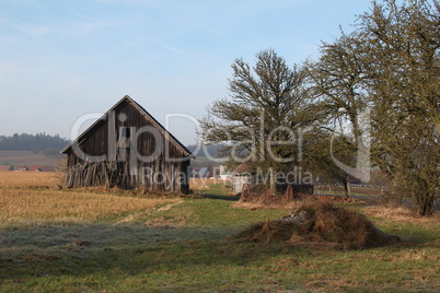 Rural landscape