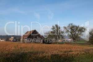 Rural landscape