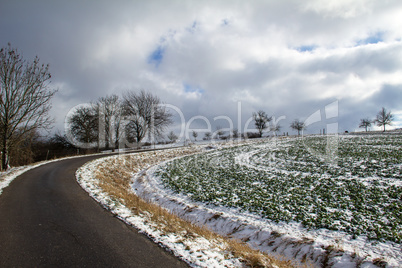 Winter landscape