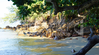 wild seychelles