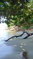 wild seychelles