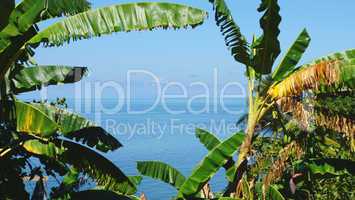 wild seychelles