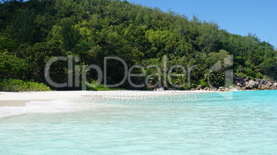 untouched beach