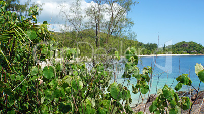 wild beach