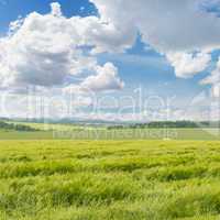 wheat field and cloudy sky