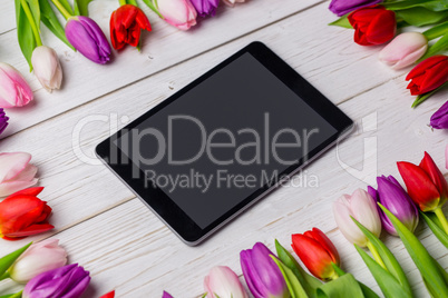 Tulips forming frame around tablet