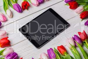 Tulips forming frame around tablet