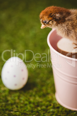 Stuffed chick in pink bucket
