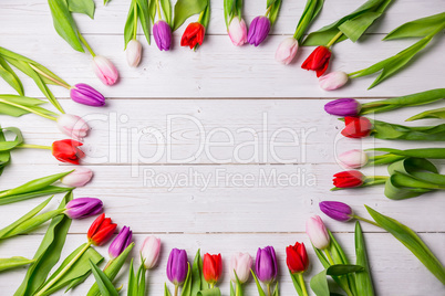 Tulips forming frame