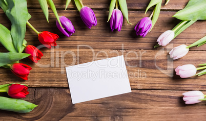 Tulips forming frame around white card