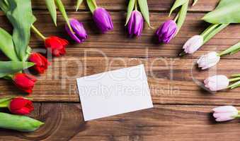 Tulips forming frame around white card