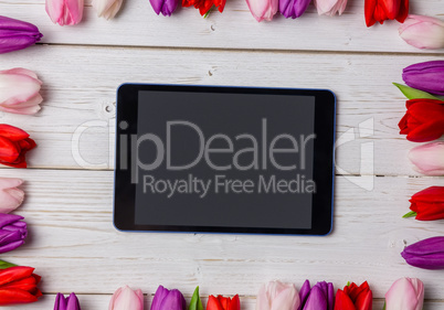 Tulips forming frame around tablet