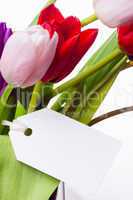 Bunch of tulips and white card