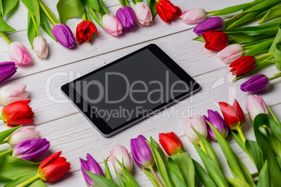 Tulips forming frame around tablet