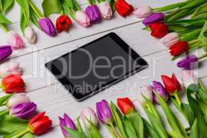 Tulips forming frame around tablet