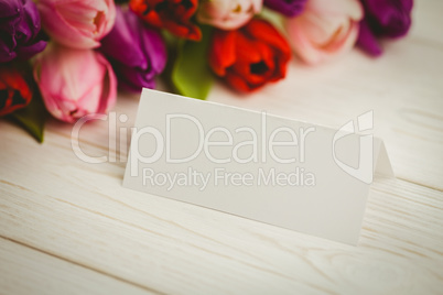 Colorful tulips and white card Colorful tulips and white card