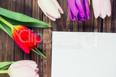 Tulips forming frame around white card