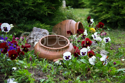 Flowers and pots