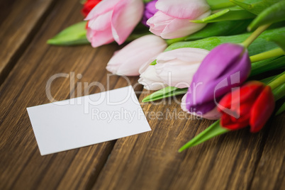 Bunch of tulips and white card