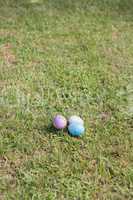 Easter eggs on the grass