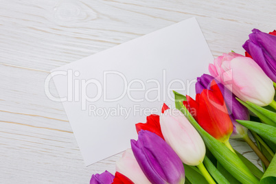 Colorful tulips and white card Colorful tulips and white card