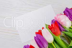 Colorful tulips and white card