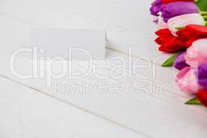 Colorful tulips and white card