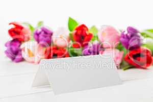 Colorful tulips and white card