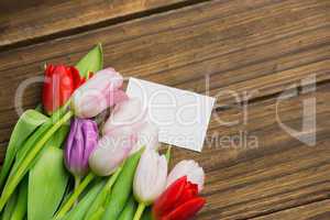 Bunch of tulips and white card