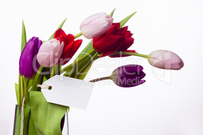 Bunch of tulips and white card