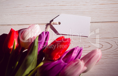 Bunch of tulips and white card