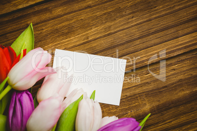 Bunch of tulips and white card